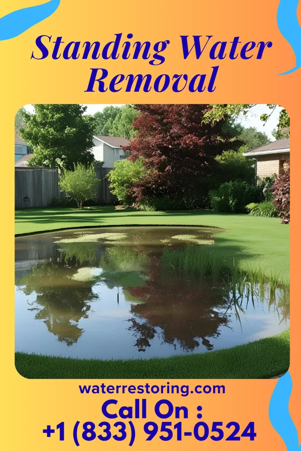 Standing Water Removal in Crestview, FL
